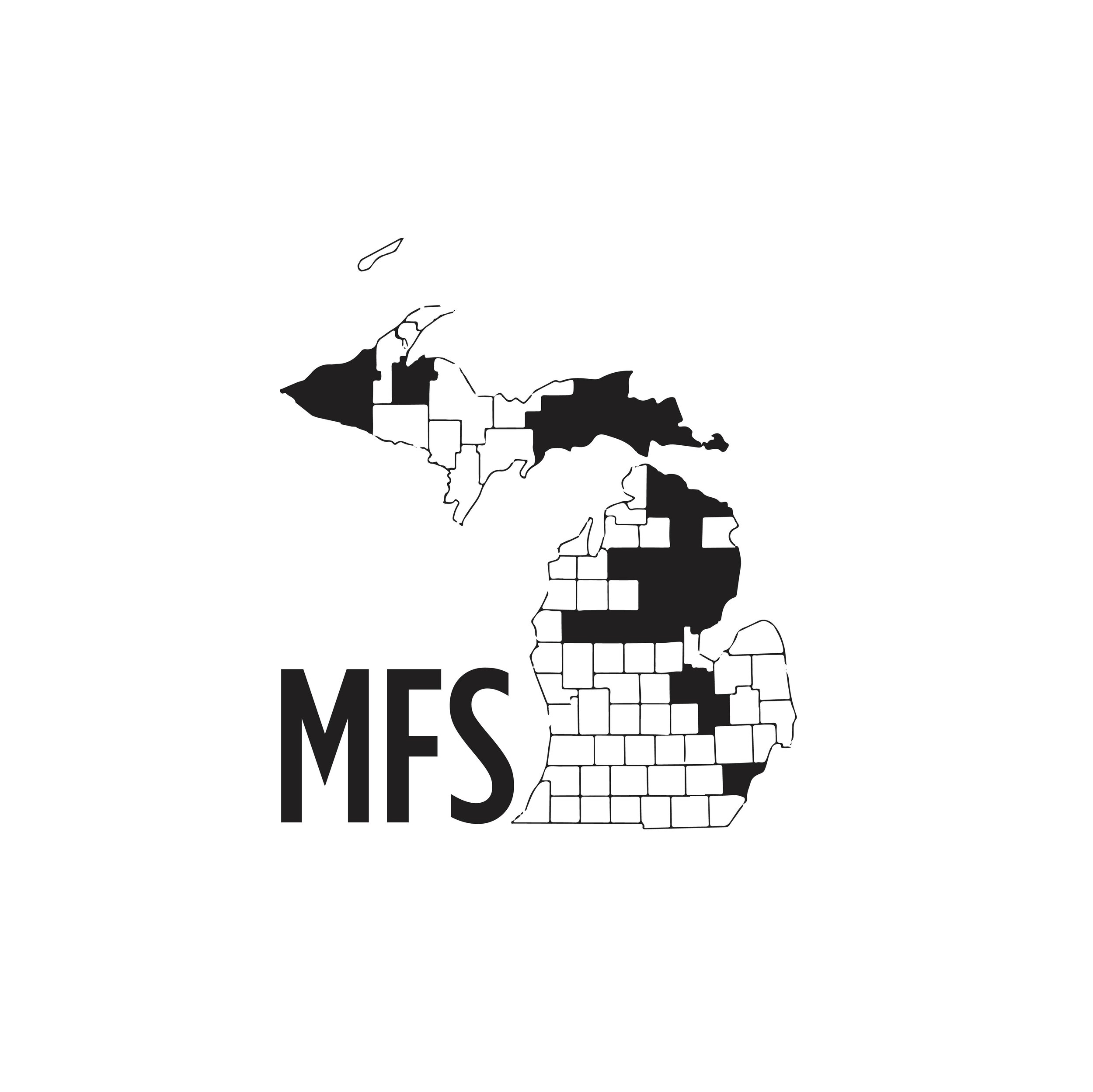 MFS-13.jpg