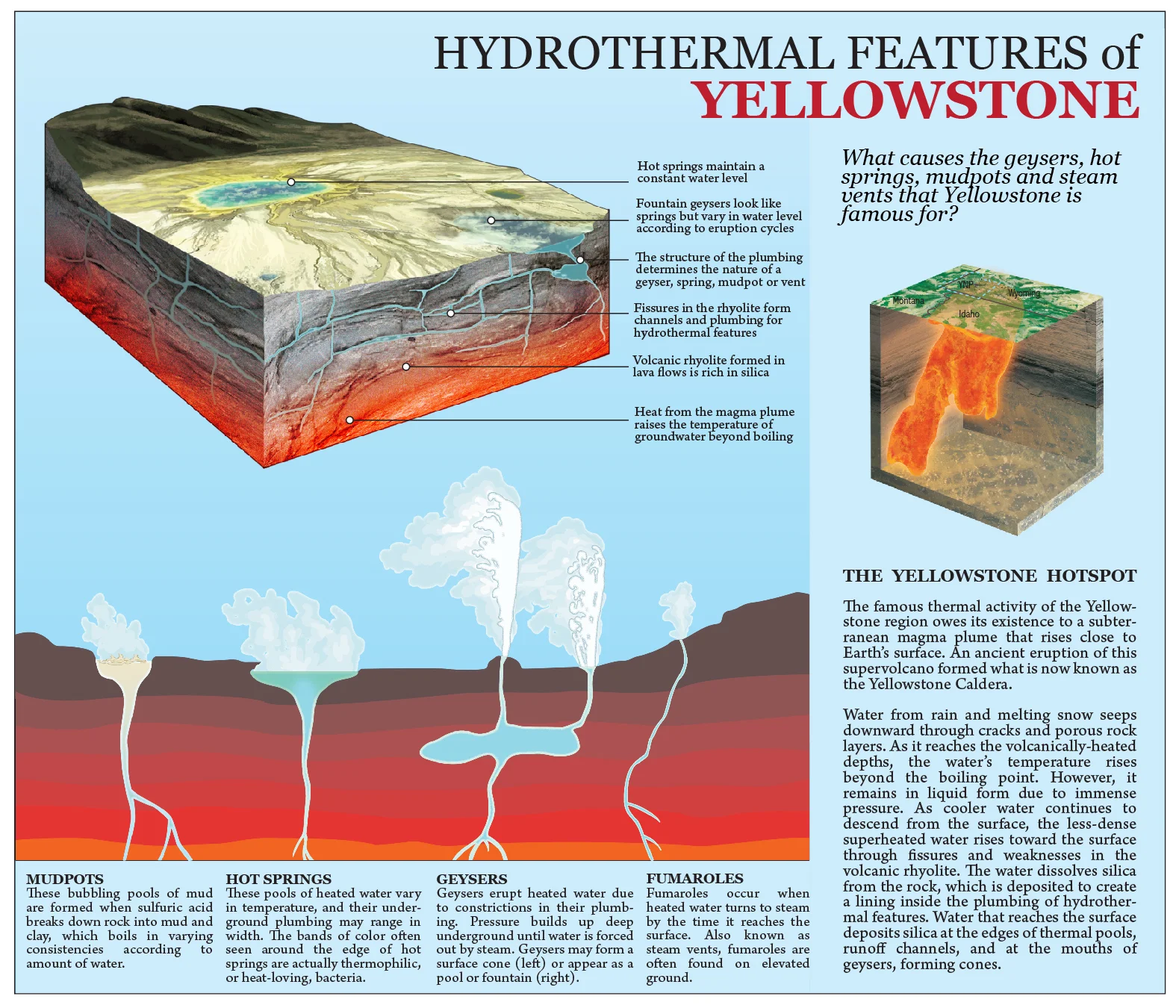 Jabs_Macro_Hydrothermal_RGB-01 copy 2.jpg