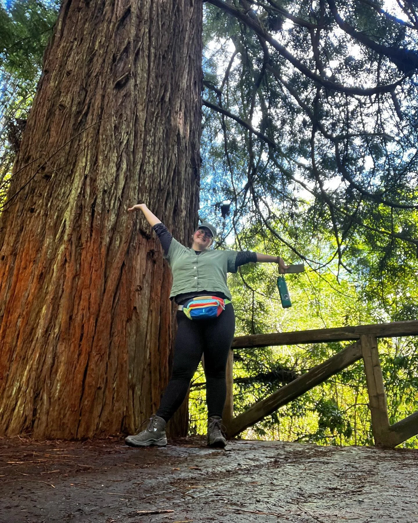 i love trees