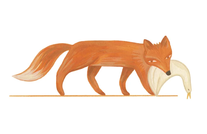 049_fuchs.jpg