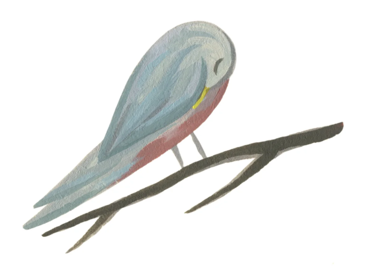 DB-vogel2.jpg