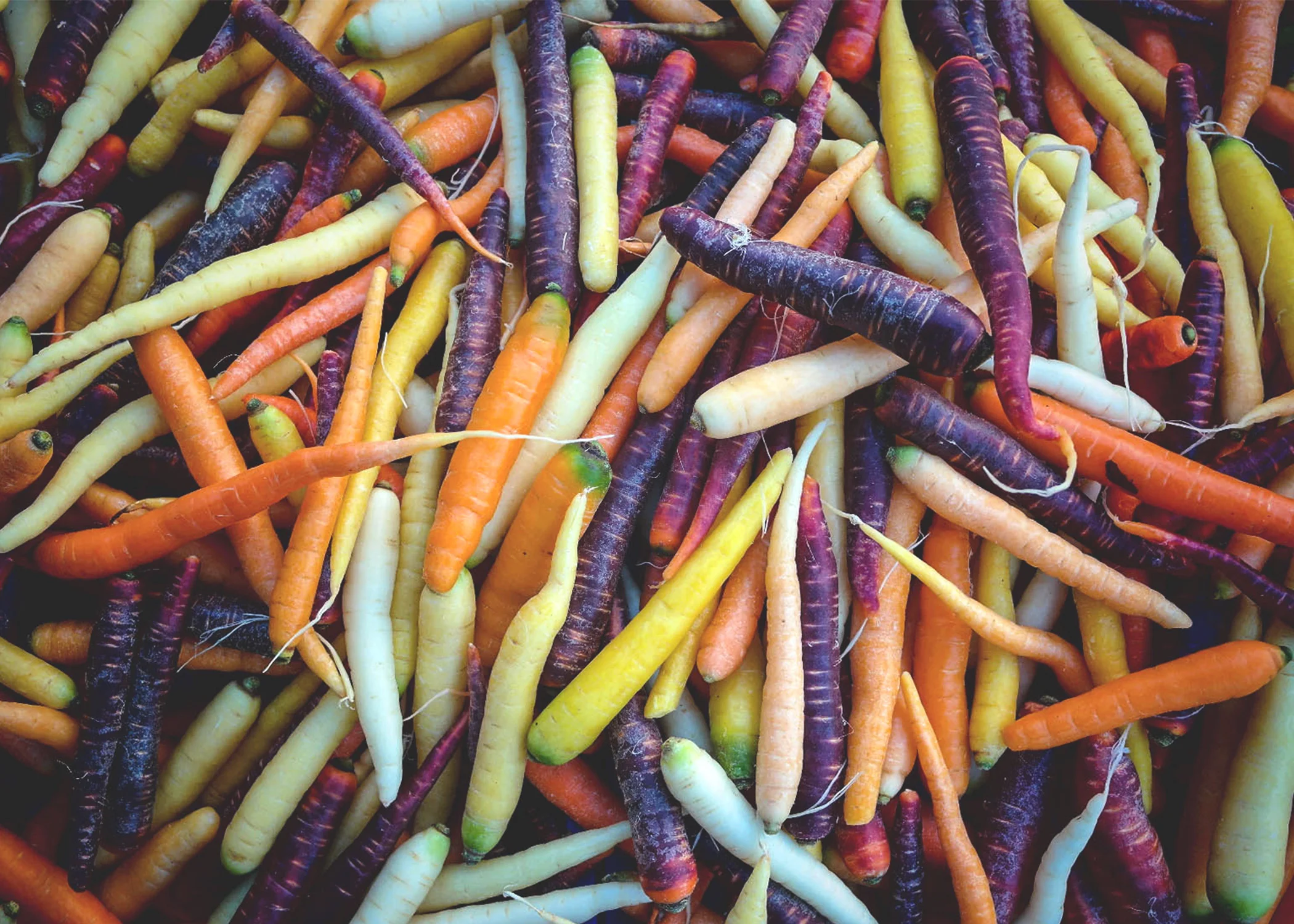 Rainbow Carrots.jpg