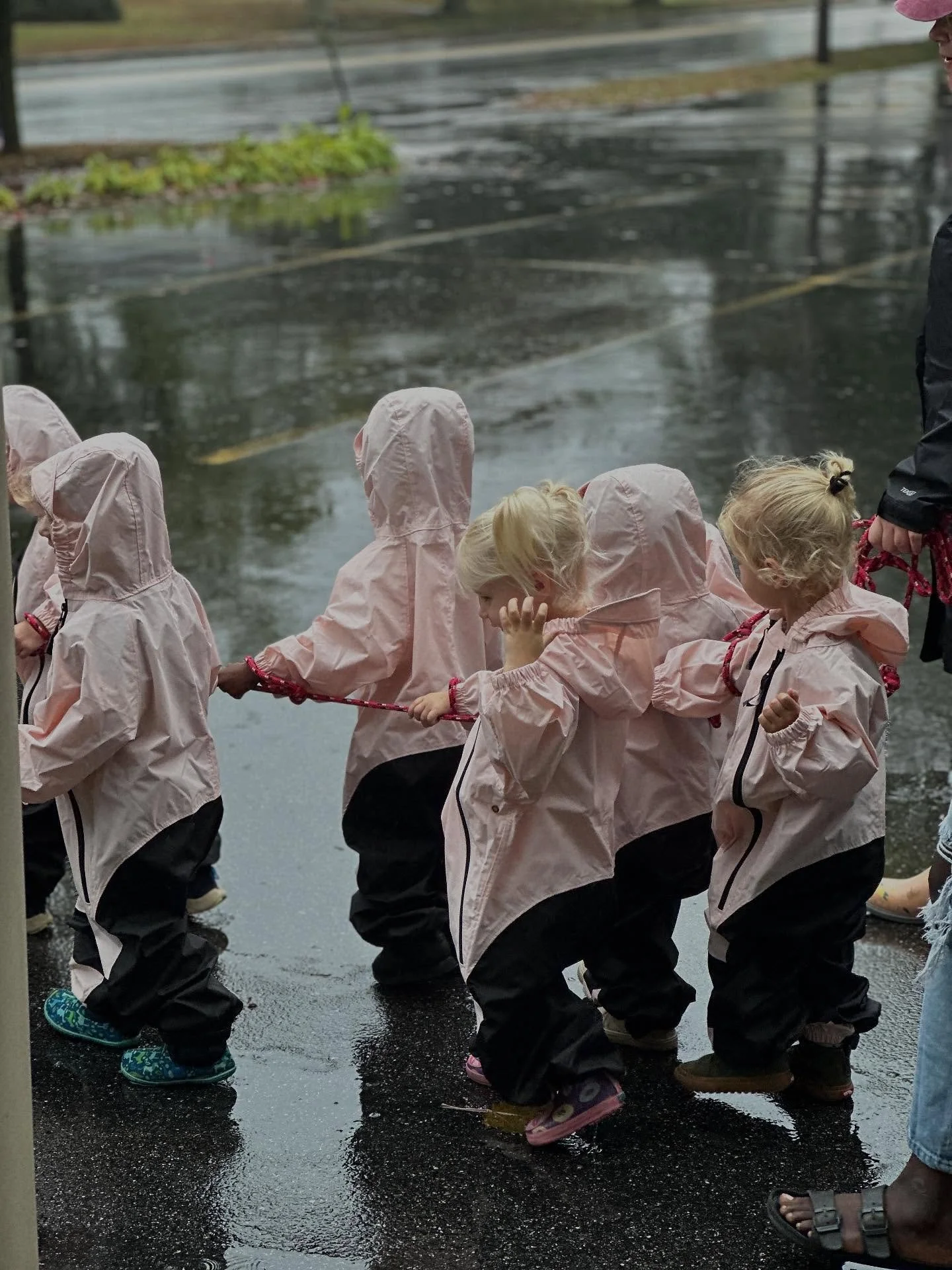 An exciting day for Early Preschoolers who donned their rain suits to take a walk and visit their favorite apple tree :) Rainy days are still great days. Friends who said &ldquo;I want to feel the rain on my head&rdquo; quickly changed their minds bu