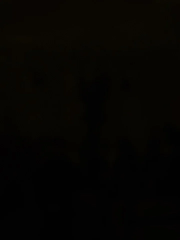 ✨ A little bit of theater magic in our classroom today! ✨
Our preschoolers were treated to an incredible performance brought right to us by the amazing team from the @childrensmuseumtheatremaine. The joy, movement, and imagination filled the whole ro