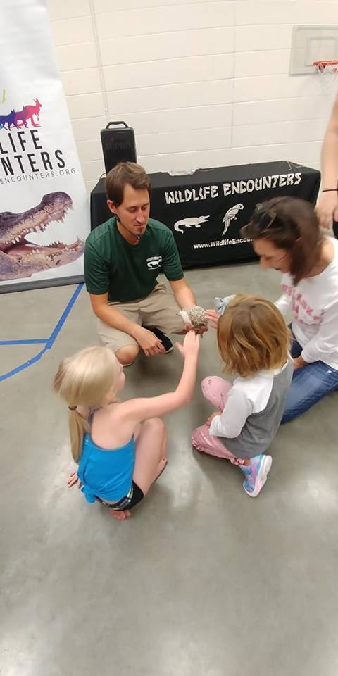 Kids touching hedgehog