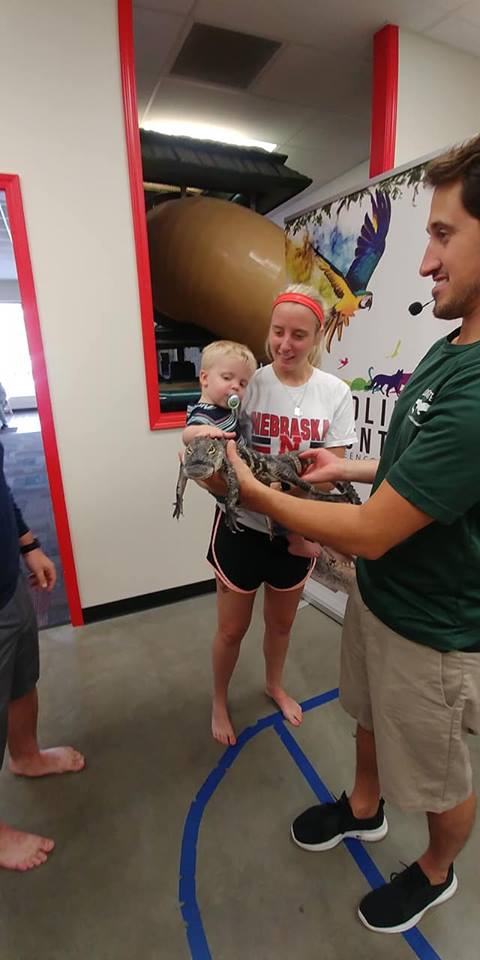 Boy touching alligator