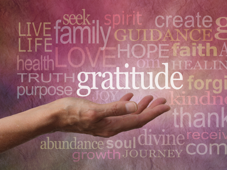 'Tis the Season of Gratitude