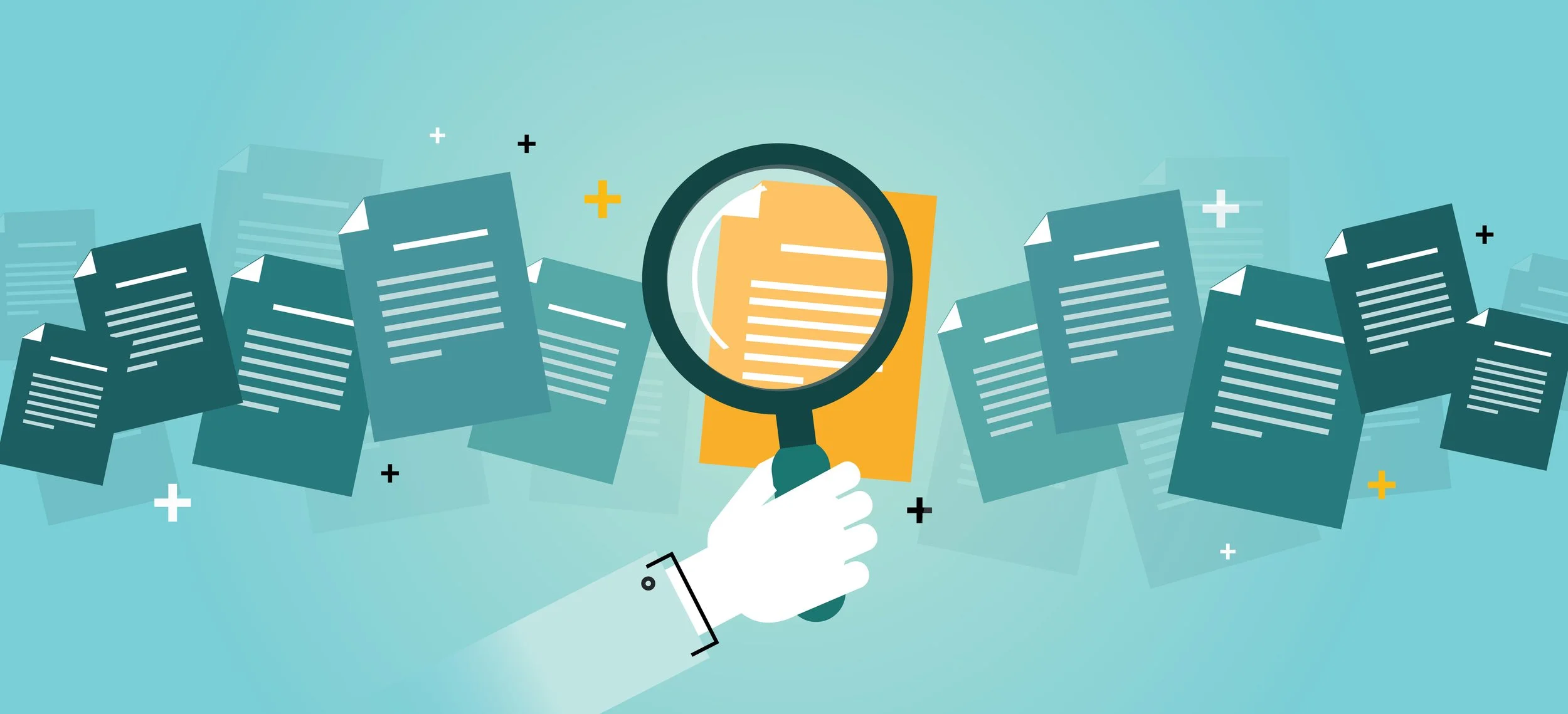 Introducing the Talent Spotlight!