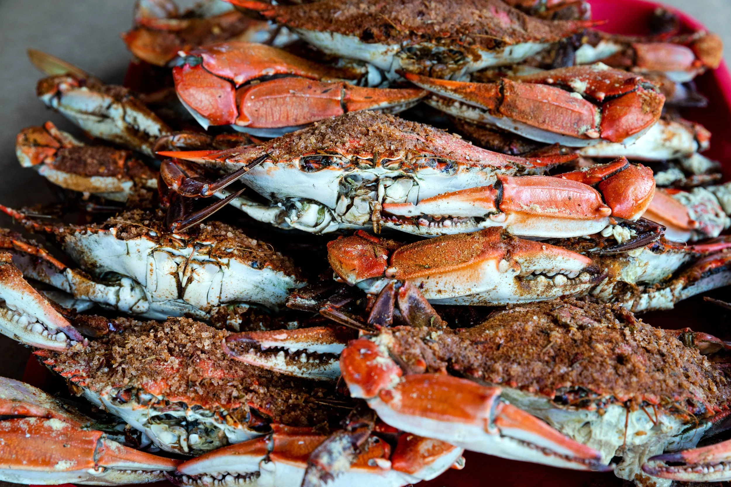 Visit Baltimore Crabs_2021-05-27_TSUCALAS-3761 copy.jpg