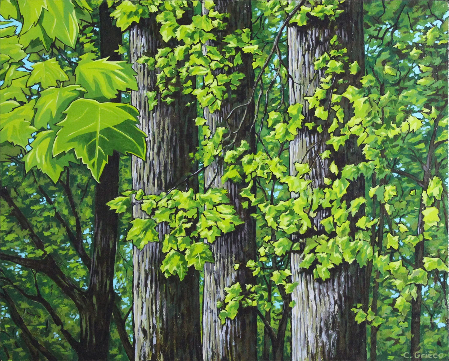 Fort Foster Trees, Kittery Point