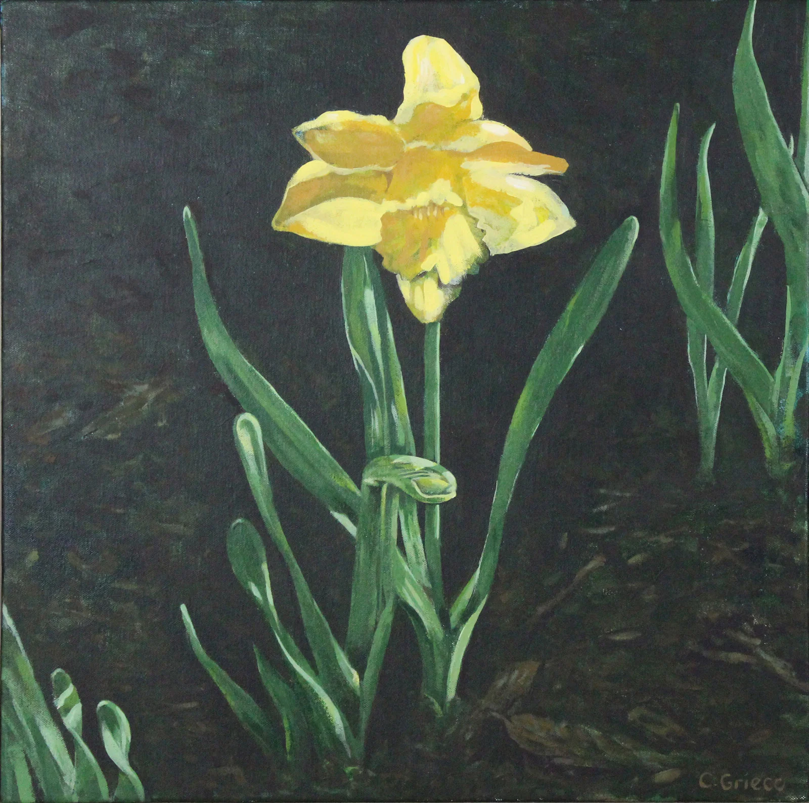 Spring Daffodils Yellow and Earth Tones