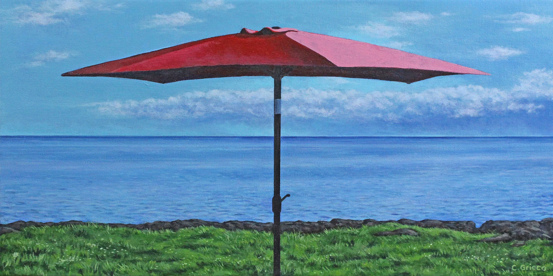 Red Umbrella Grass and Sky