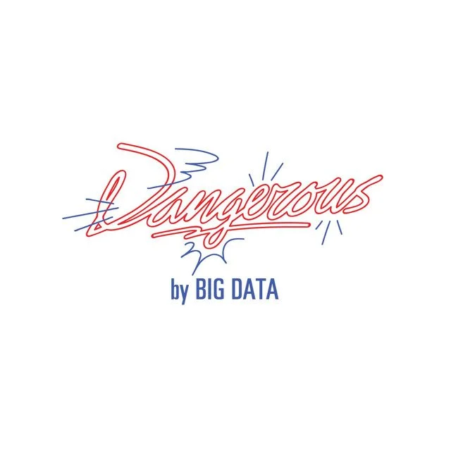 big_data_cover_new.jpeg