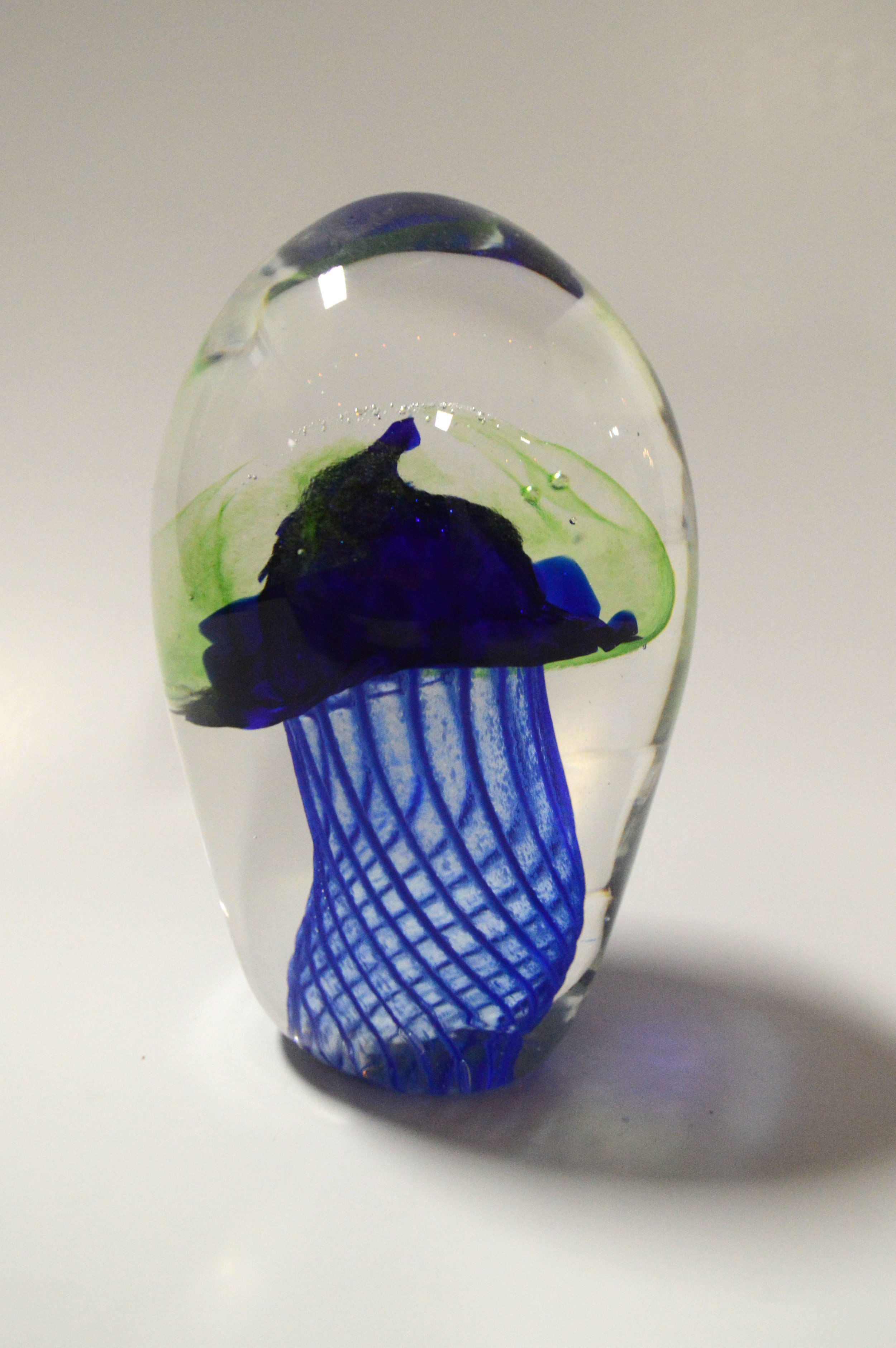 Jellyfish.jpg