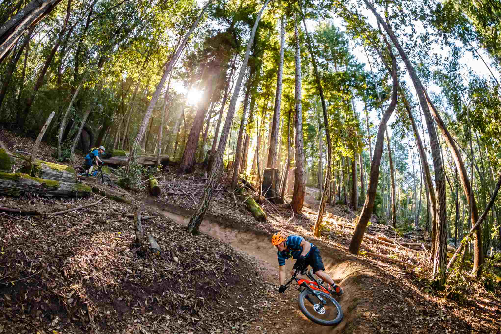 California-Cycling-LEM-2160 (3).jpg