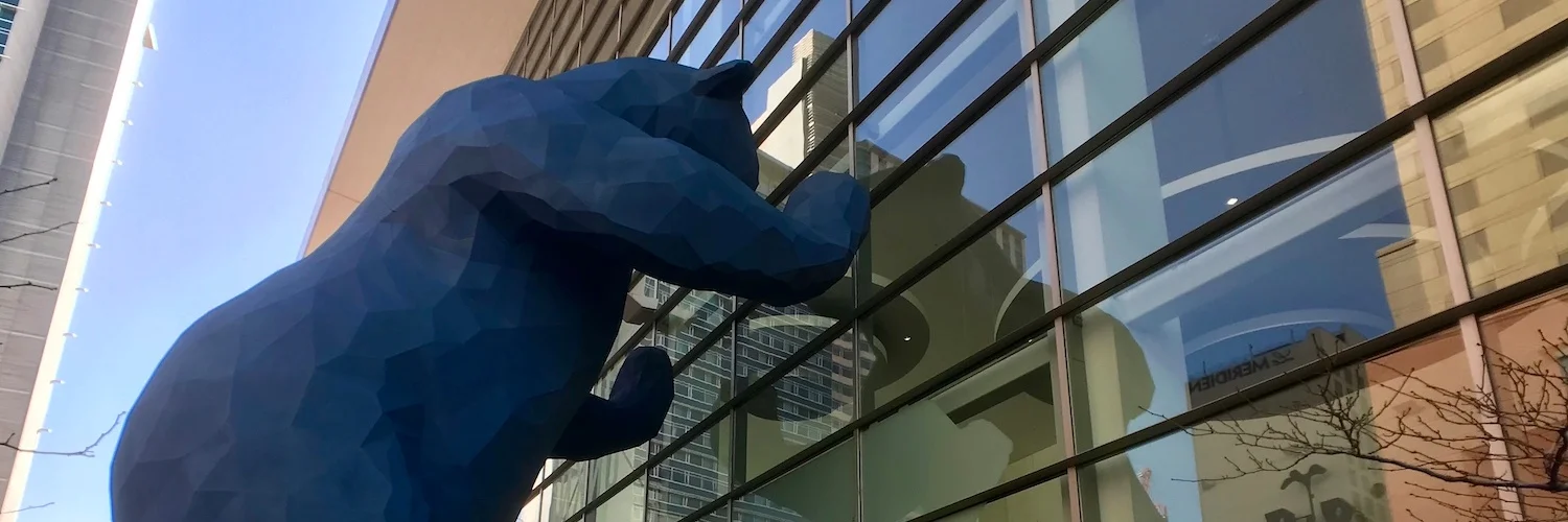 co-blue-bear.jpg