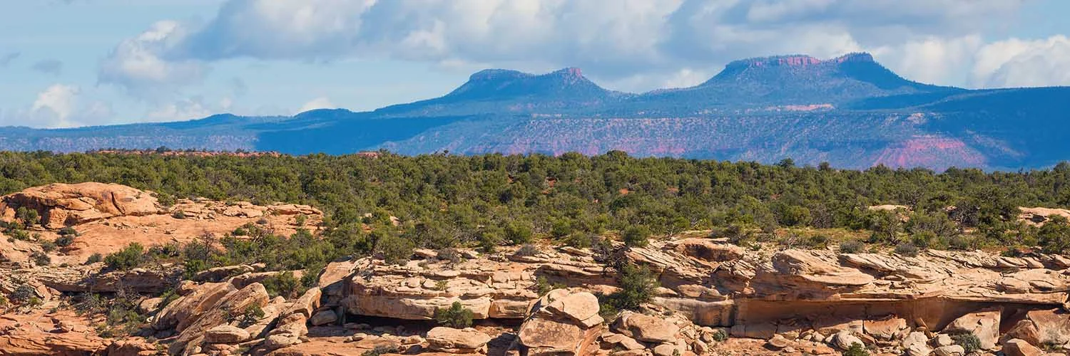 UT_BearsEars_NM_MasonCummings.jpg