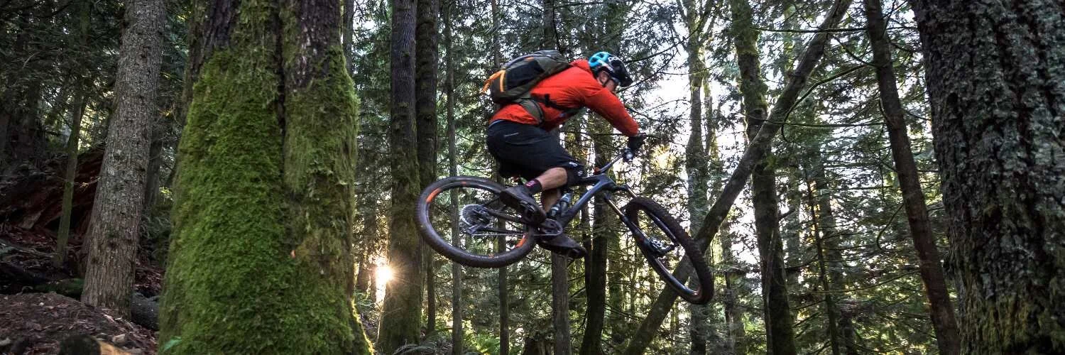 diamondback stunt bike