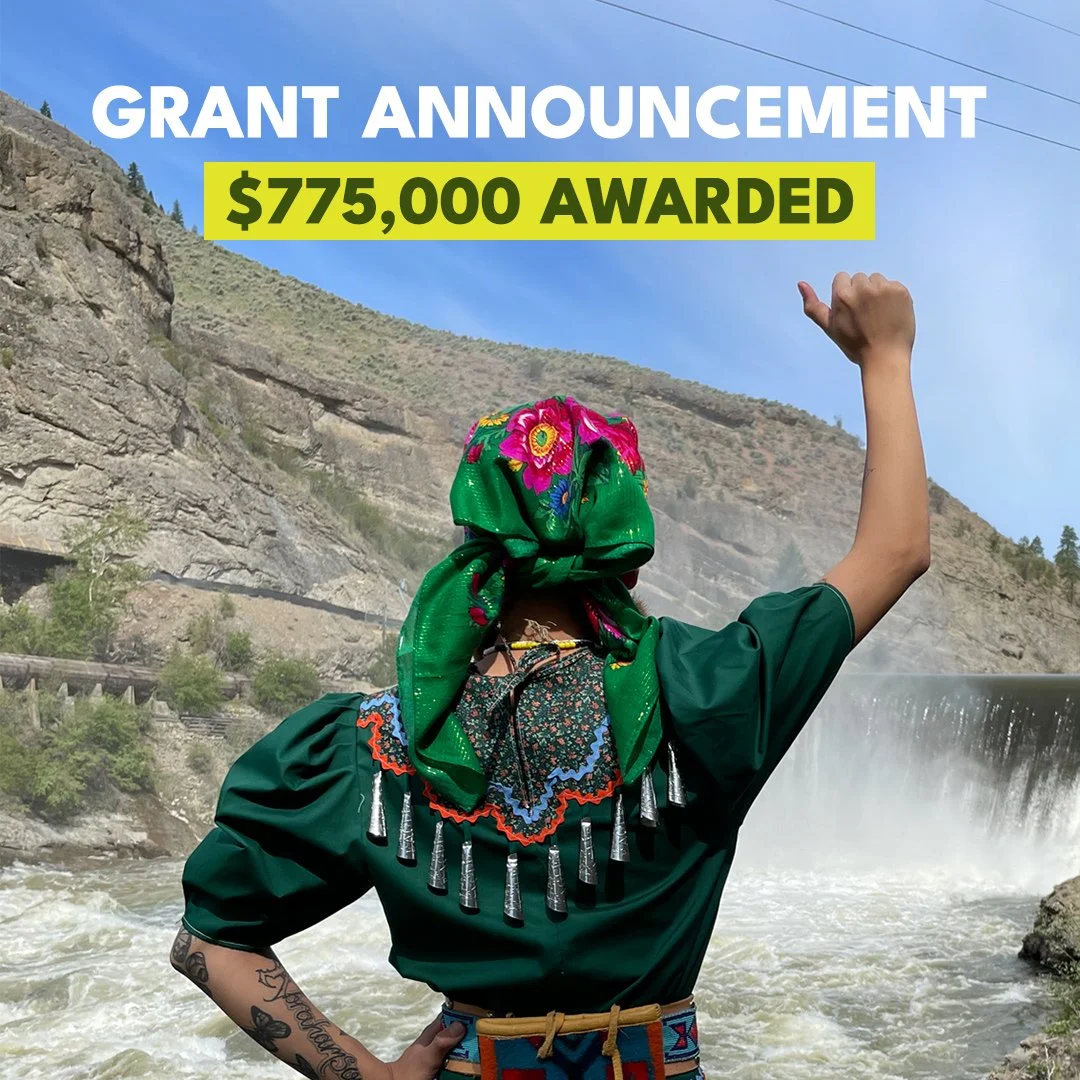 Businesses Invest $775,000 to Secure Protections for North America’s Wild Places