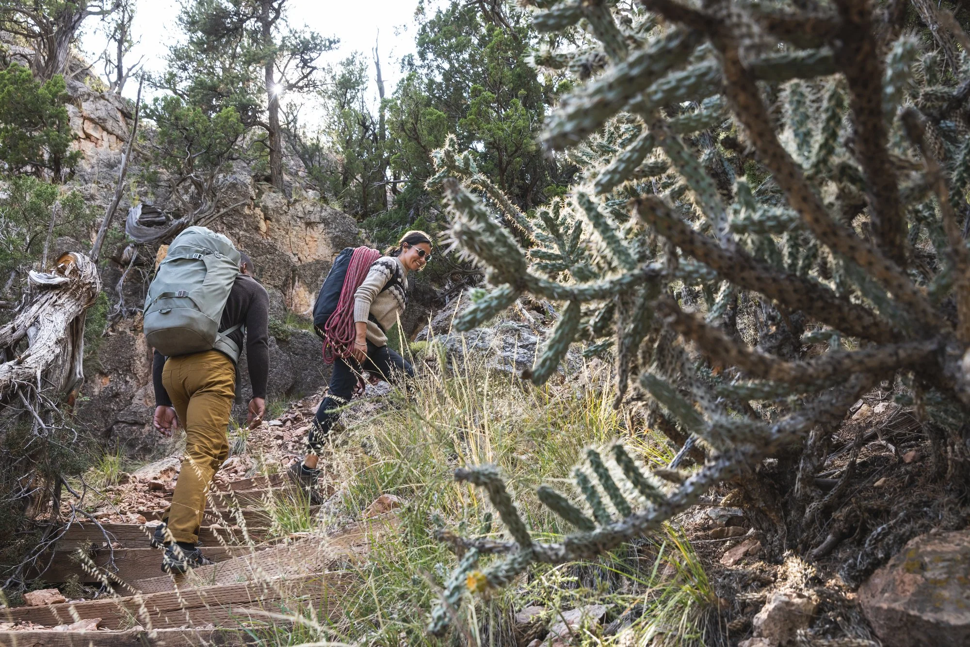 Royal Robbins Expands Sales Team to Support Rapid Growth