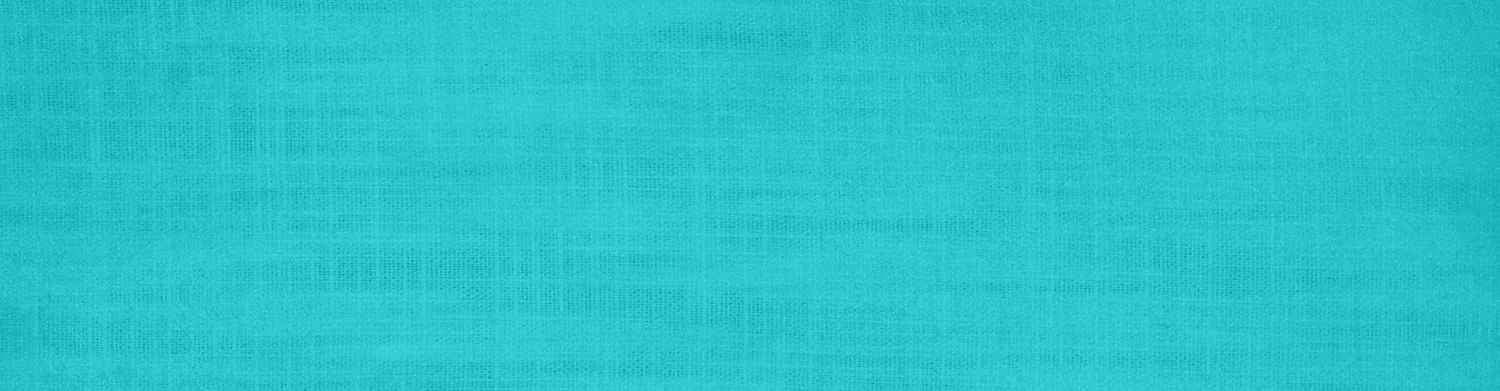 Top-Header-copy.jpg