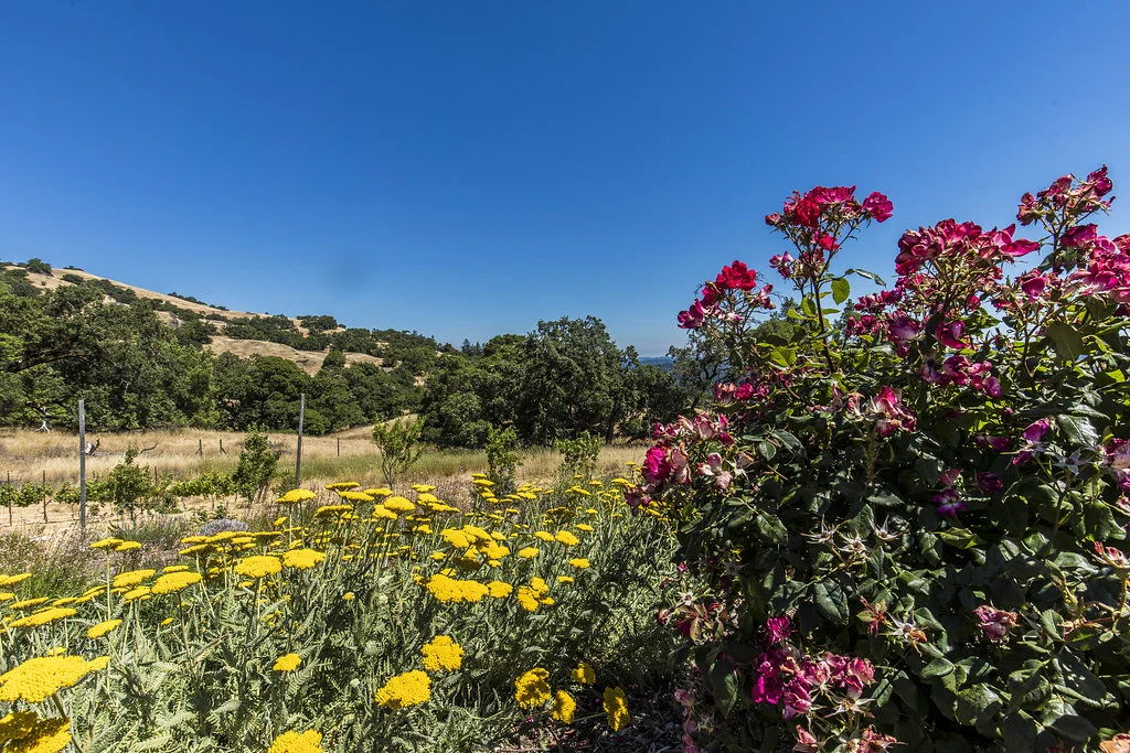 BAM_0552.jpg