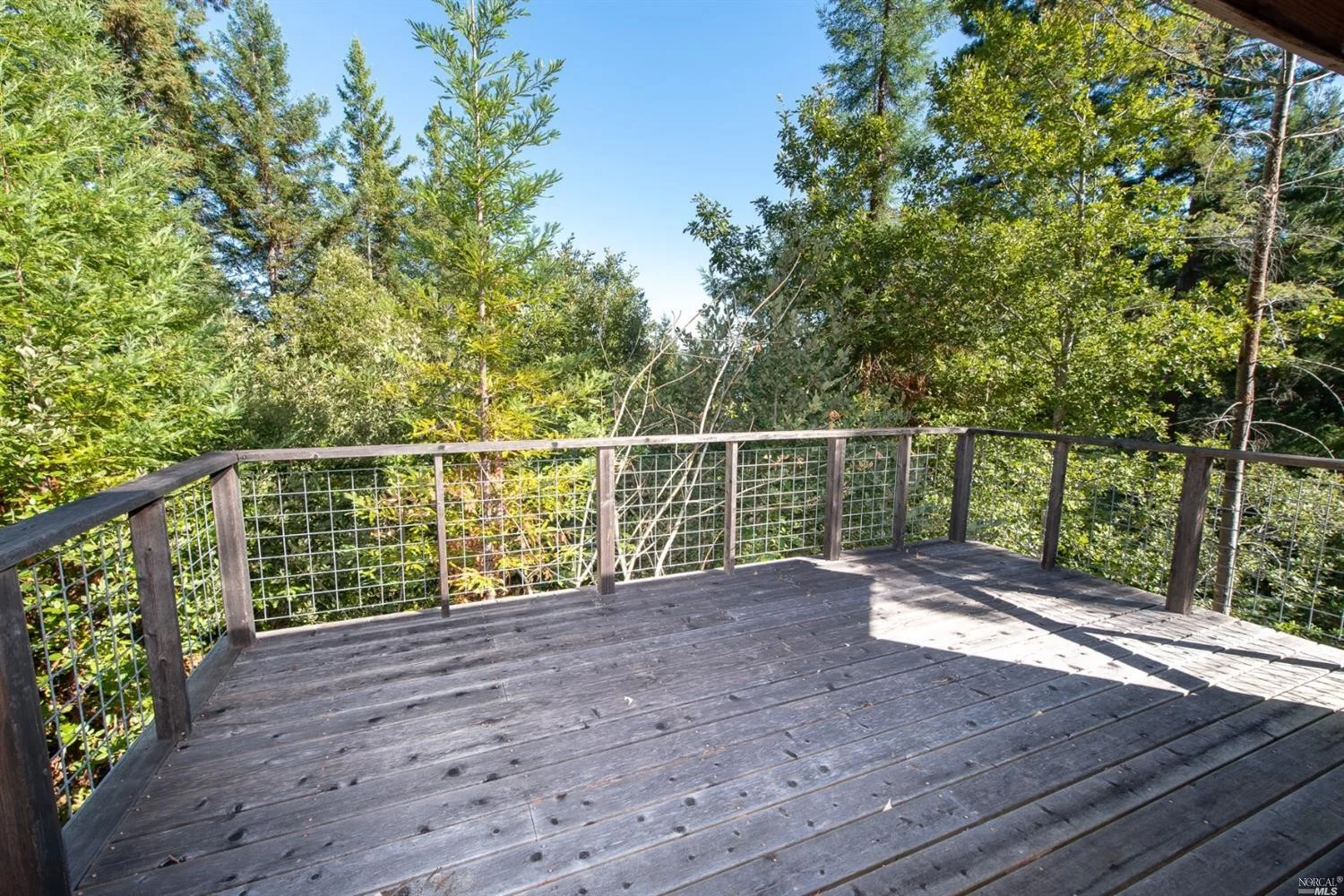 view of forest from the deck of family home for sale, Philo, CA