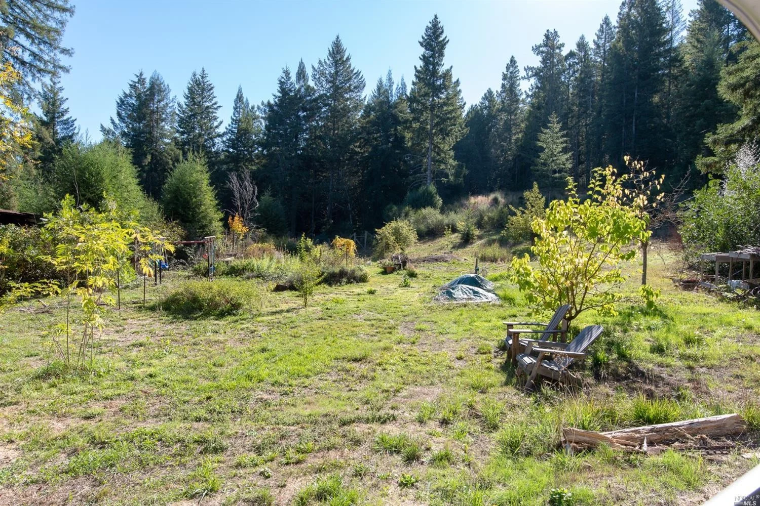 sunny meadow near the family home for sale, Philo, CA