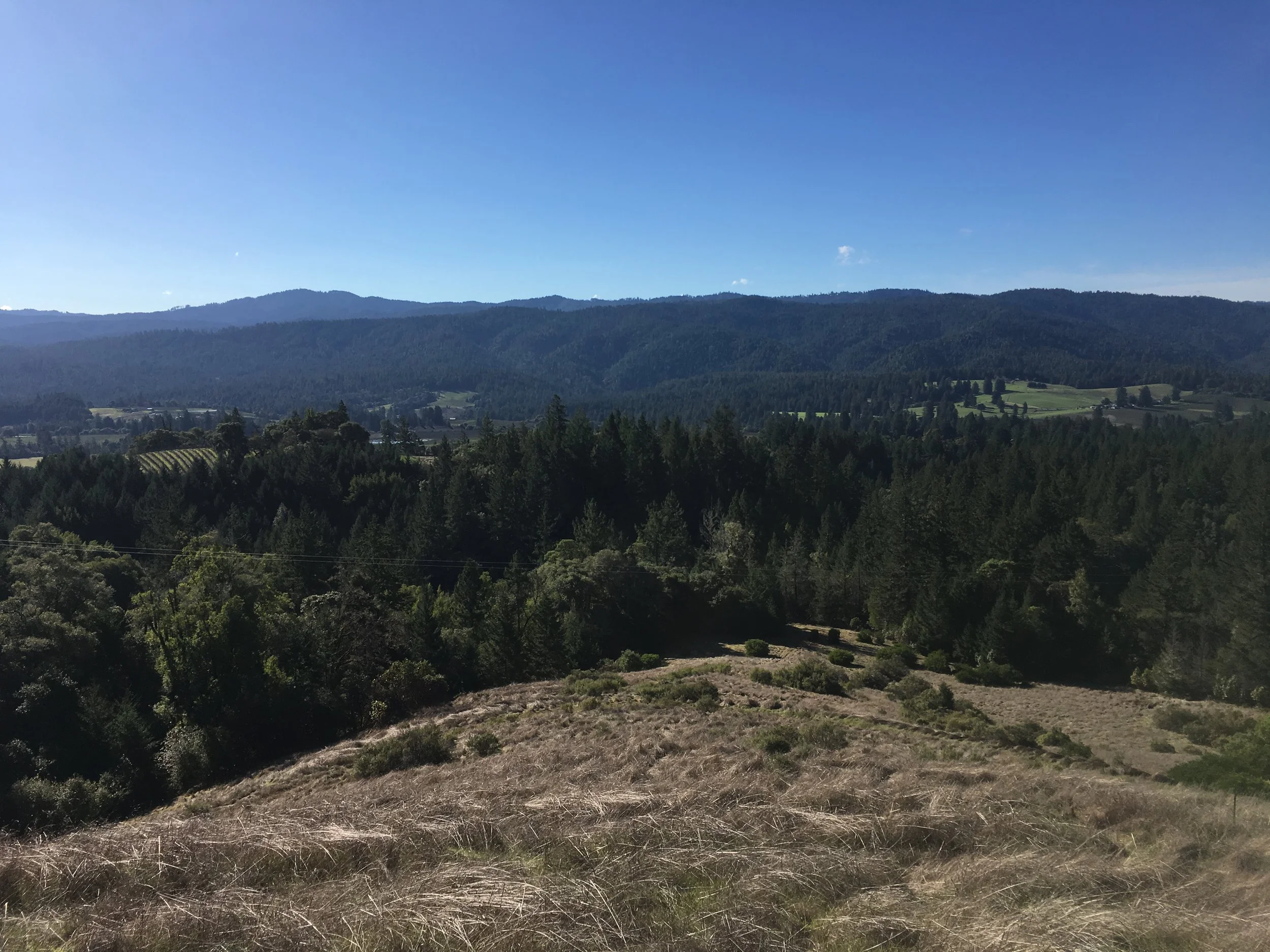 Looking over a property for sale on Clow Ridge in Philo, CA.