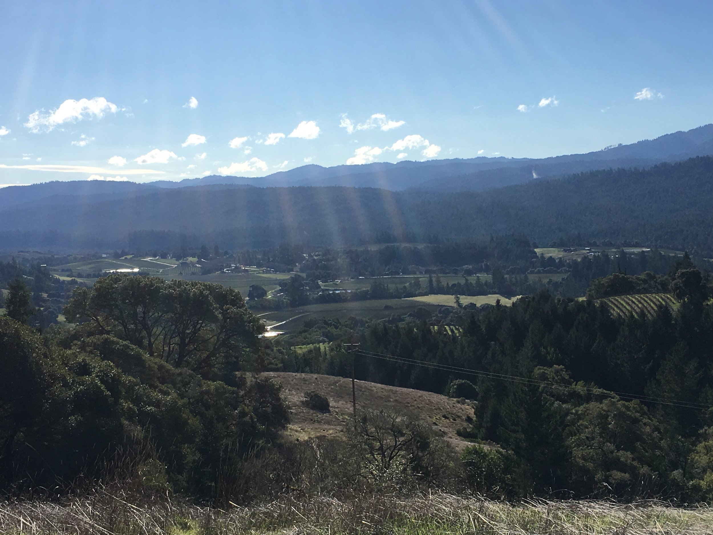 North Country Real Estate