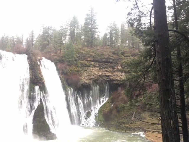 Burney Falls.
