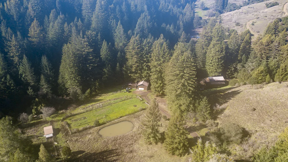 Overhead view of vineyard, pond, home and second unit.