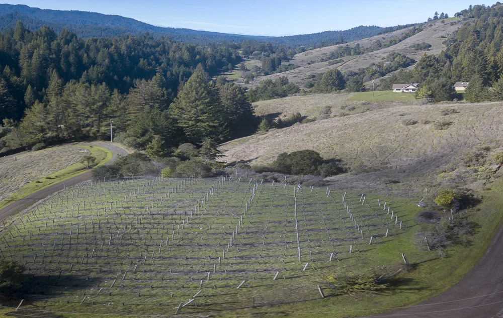 Pinot Noir, bio-dynamic, one acre, award winning fruit.