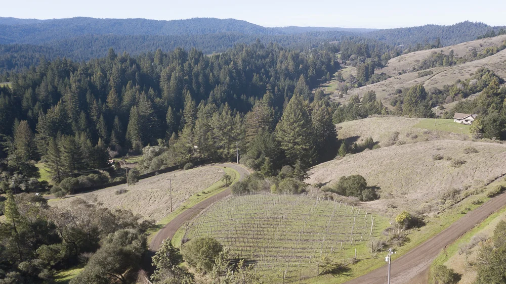 Vineyard, trees, meadows, privacy, country living.