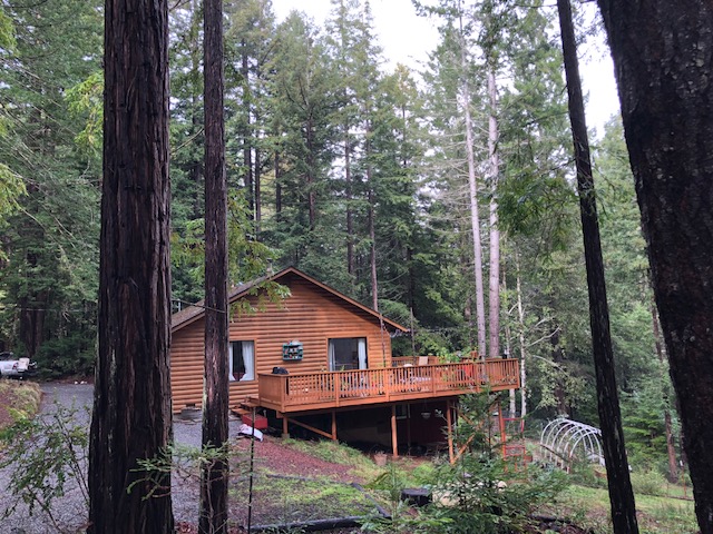 Cabin with large deck and garden area