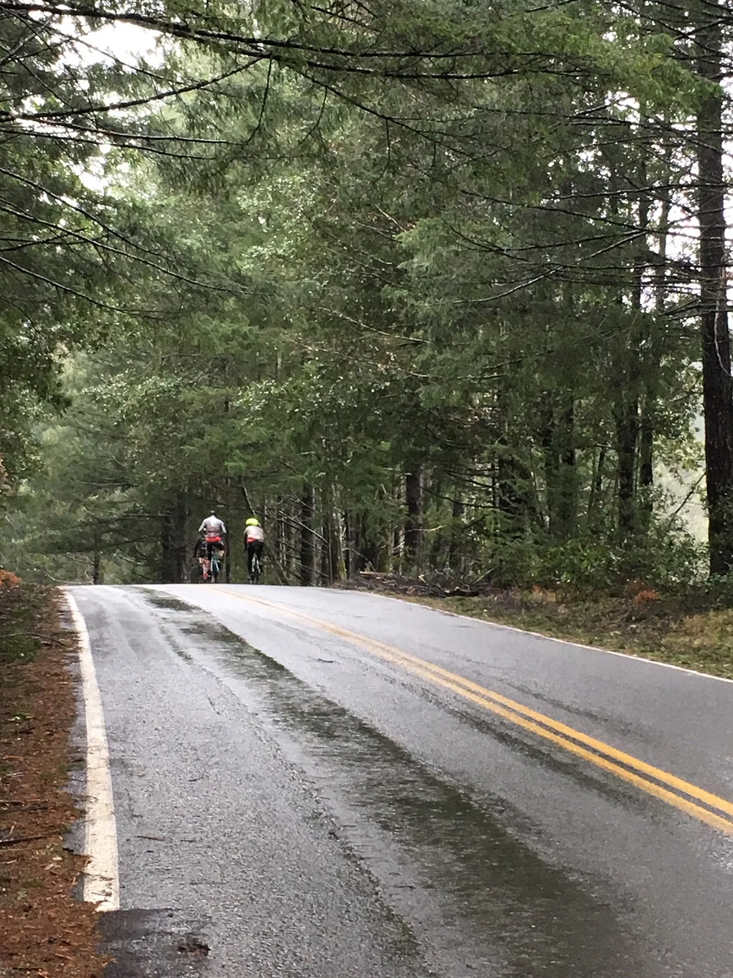 Riders head off down the road after leaving our aid station.