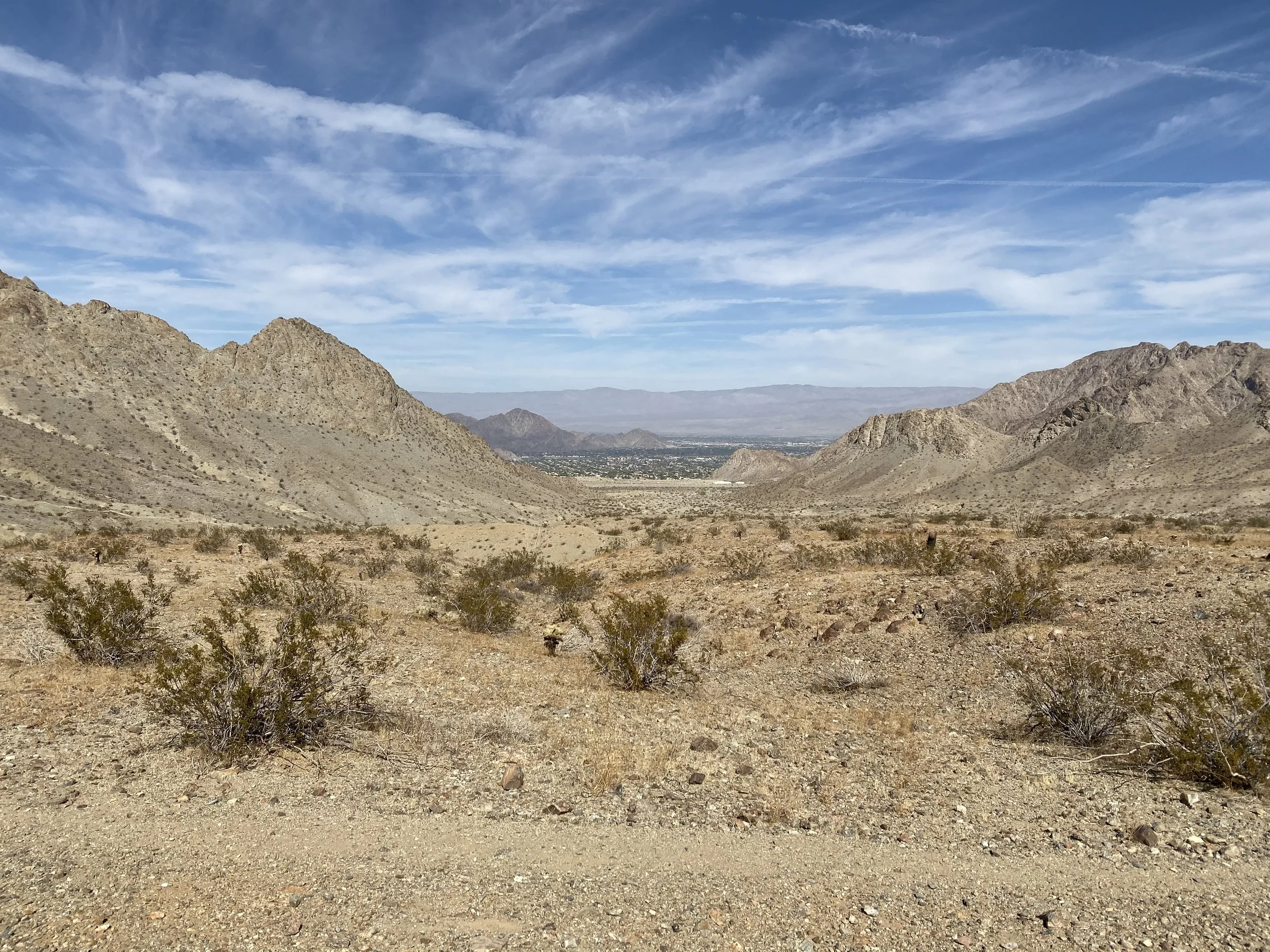 A week in Palm Desert