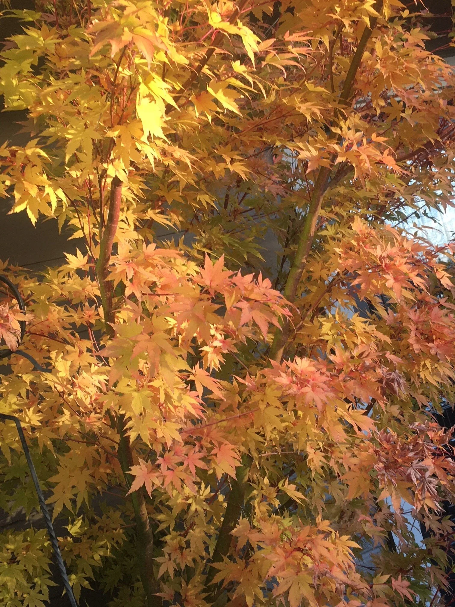 It's Fall again