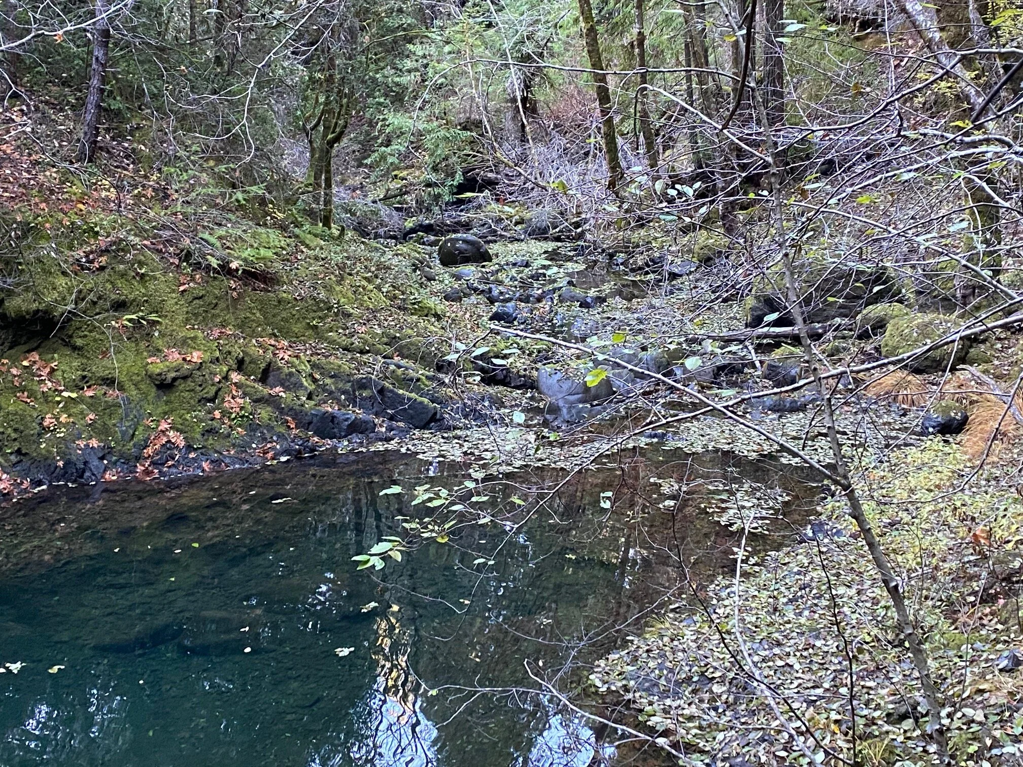  A little of this and that