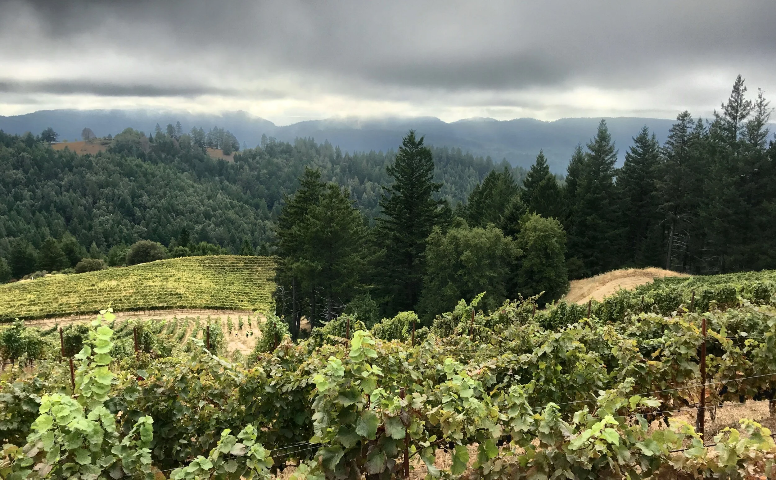 Signal Ridge, or Cold Springs Mountain, a little history