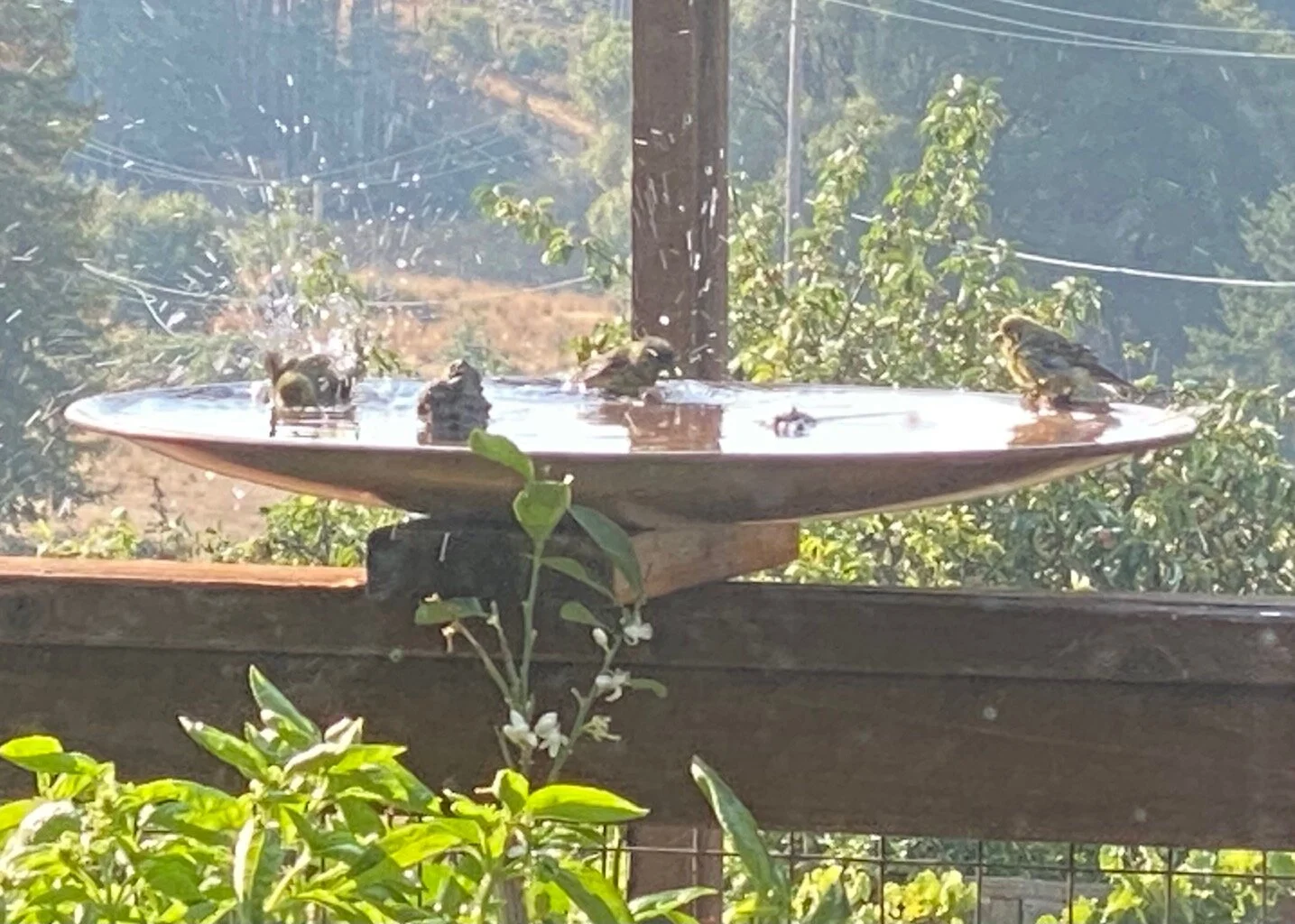 Are things cooling off?