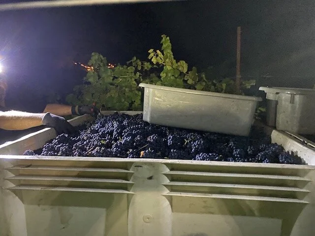 Harvest has begun