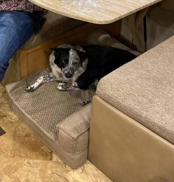 Five days in Cottonwood