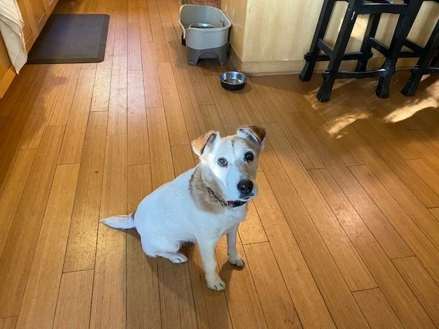 The blind and the deaf