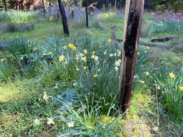 Driving around the Valley