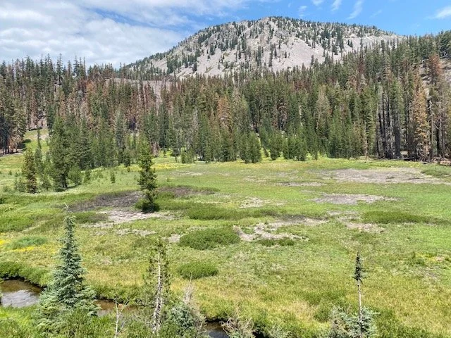 Recent travels in Cookie, the motor home