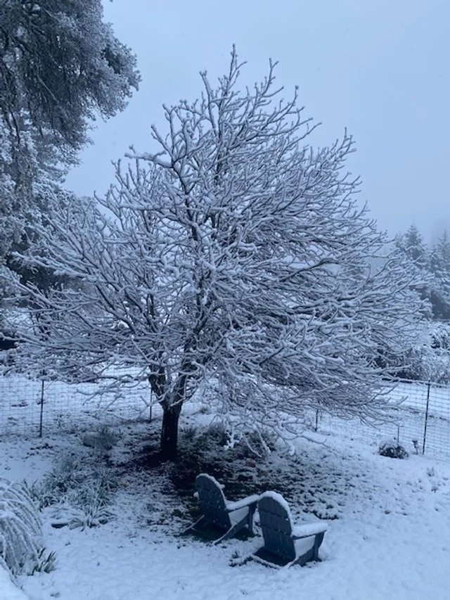 Snow!