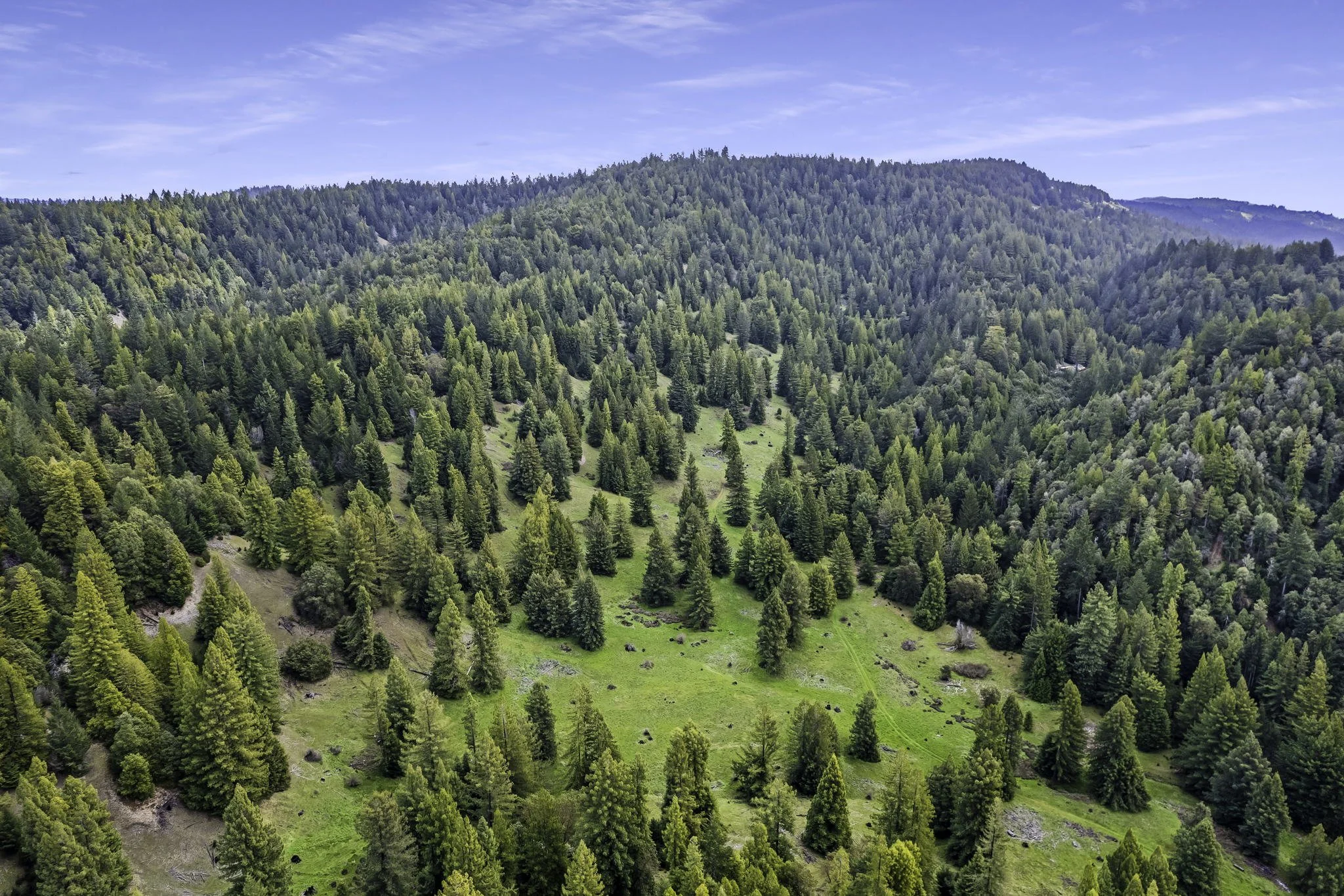 SOLD - 3611 Flynn Creek Road, Comptche, CA - $3,900,000   