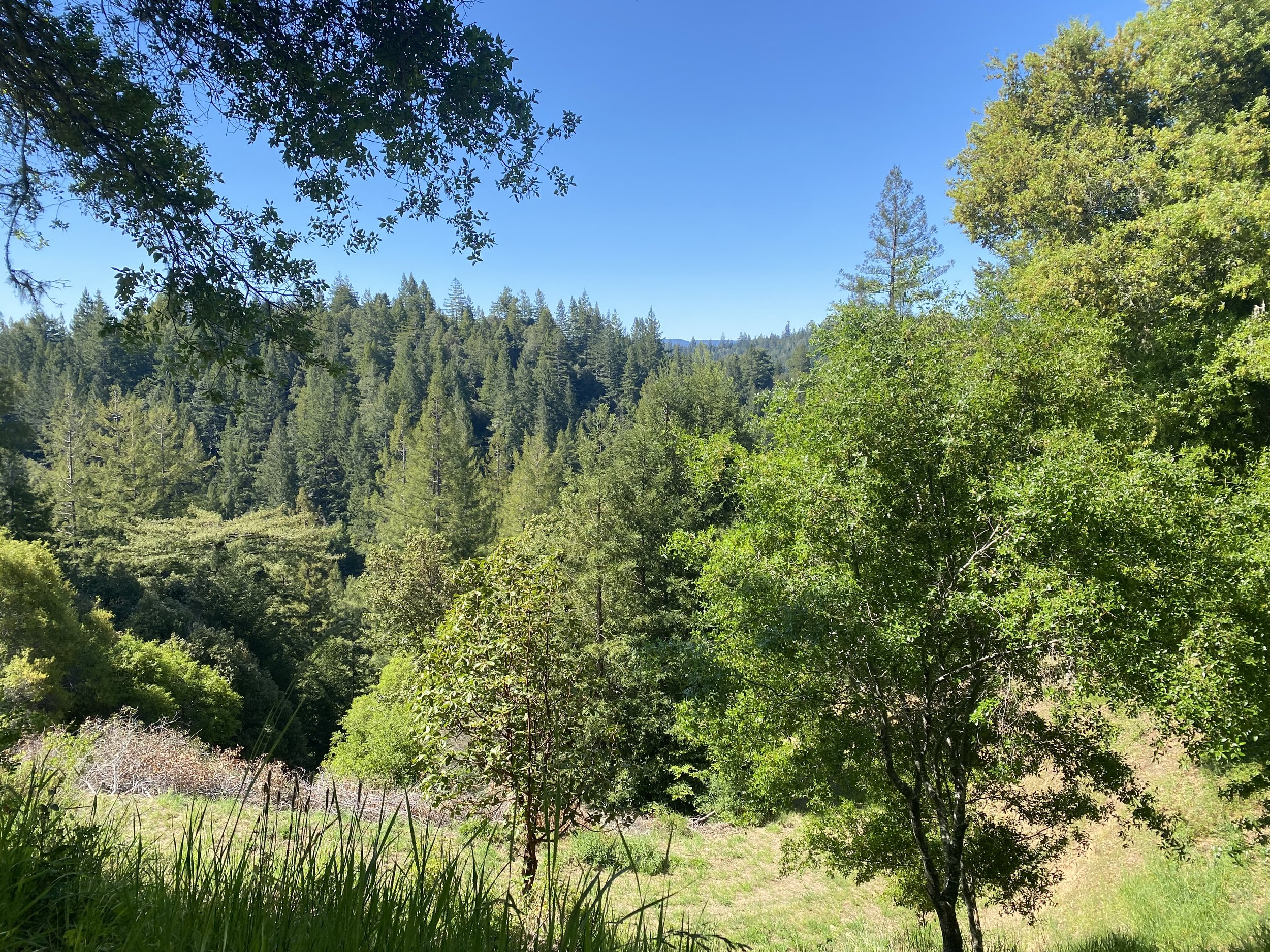 View from property