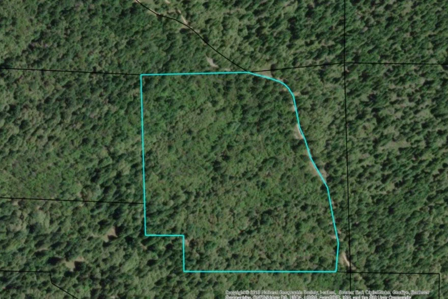 Moore Homestead Aerial.jpg